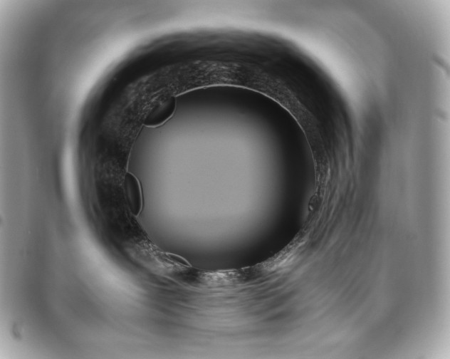 X0000096460239200802071841