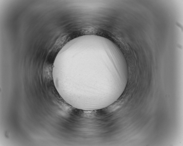 X0000096460240200802071841