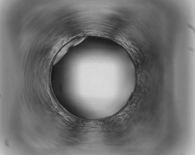 X0000096460241200802071840
