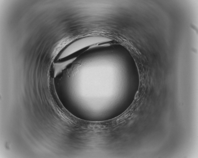 X0000096460242200802071840