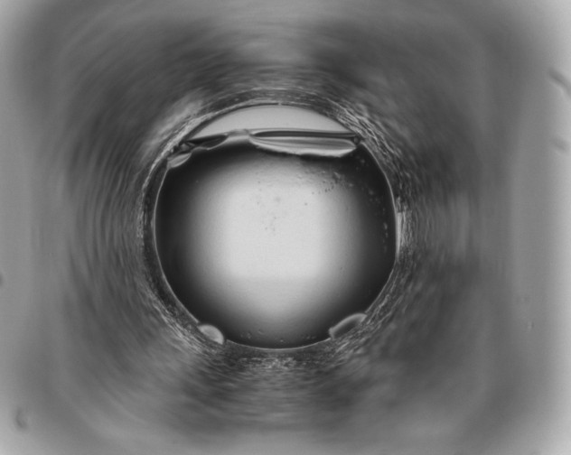 X0000096460243200802071840