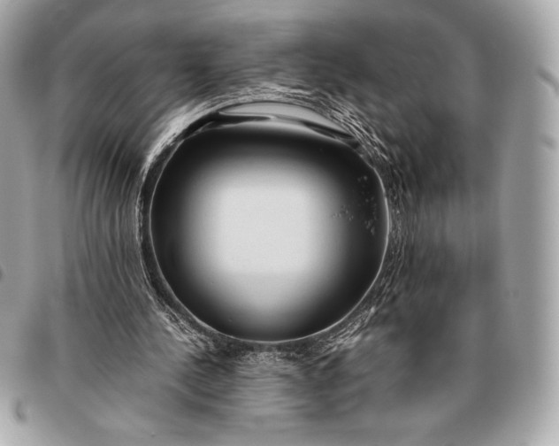X0000096460244200802071840