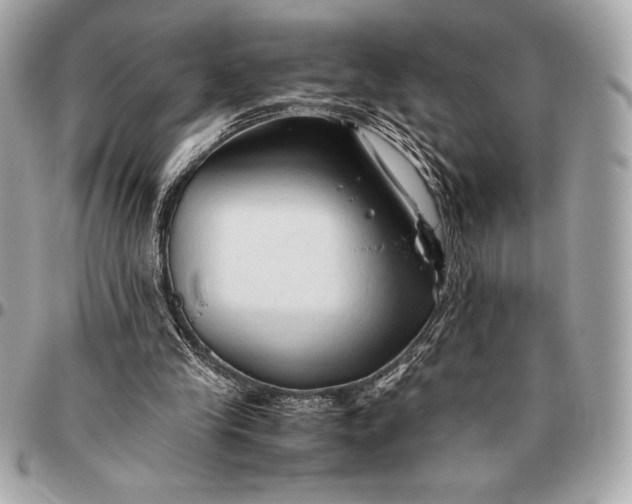 X0000096460245200802071840