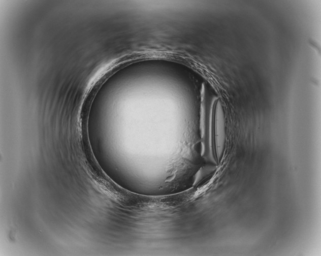 X0000096460246200802071840