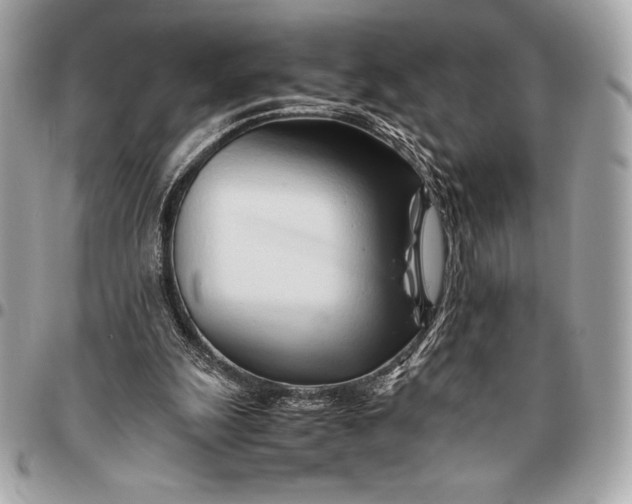 X0000096460247200802071840