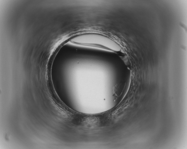 X0000096460248200802071840