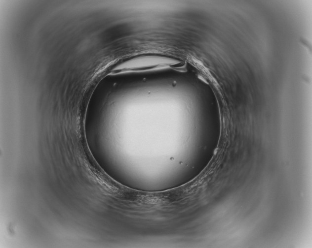 X0000096460249200802071840