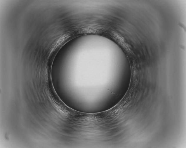 X0000096460250200802071840