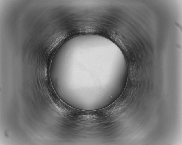 X0000096460251200802071840