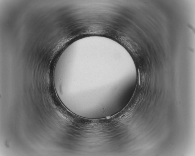X0000096460252200802071840