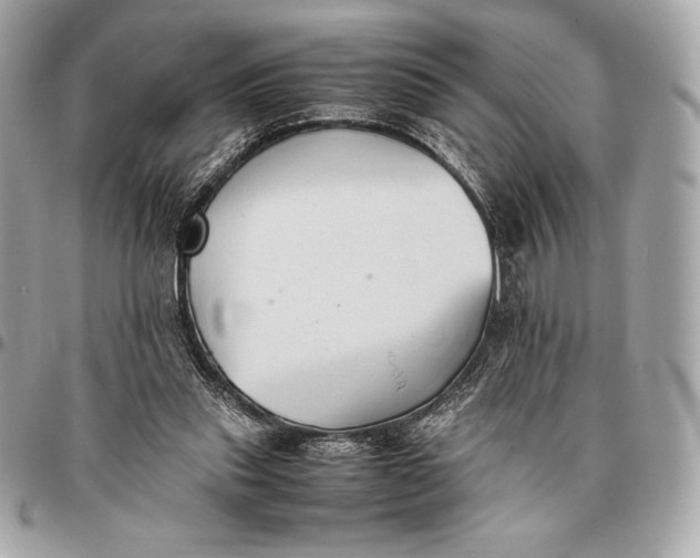X0000096460253200802071840