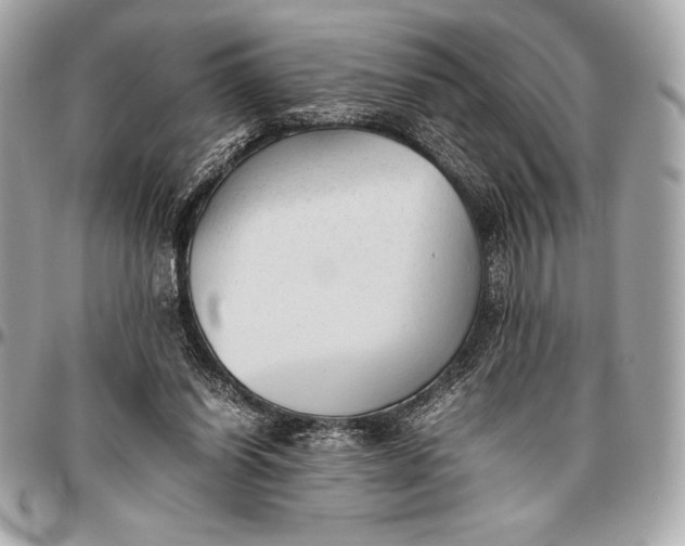 X0000096460254200802071840