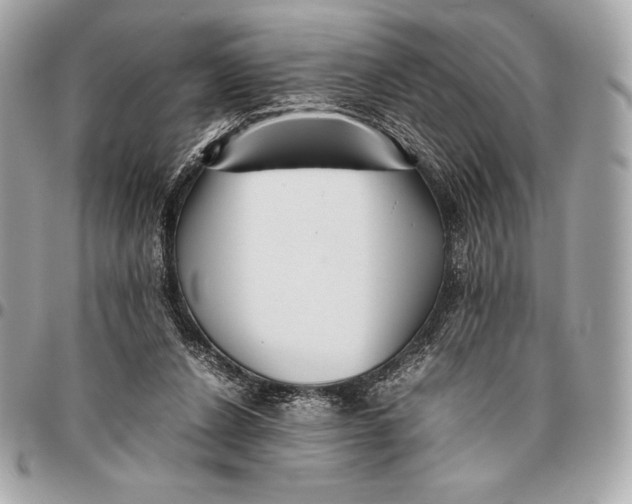 X0000096460256200802071840