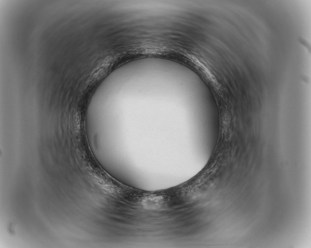 X0000096460257200802071840