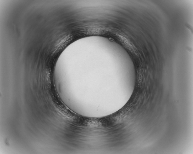 X0000096460258200802071840