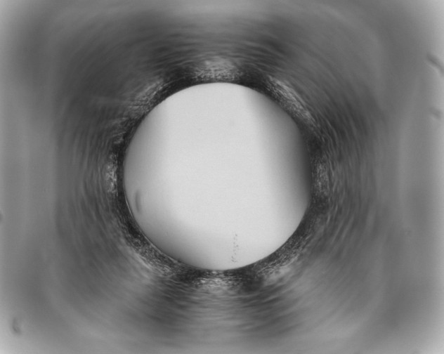 X0000096460259200802071840