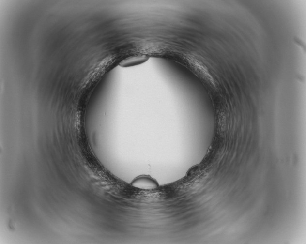 X0000096460260200802071840