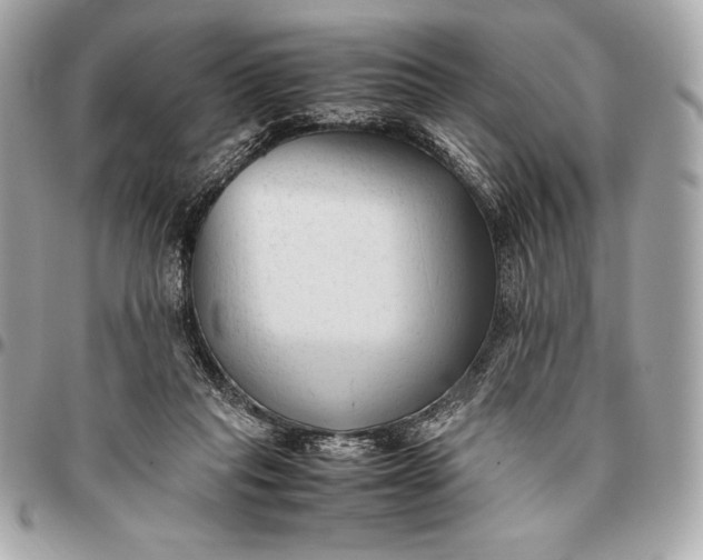 X0000096460261200802071840