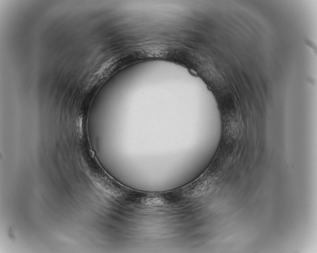 X0000096460262200802071840