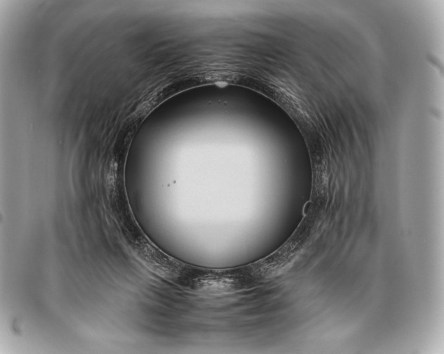 X0000096460263200802071840