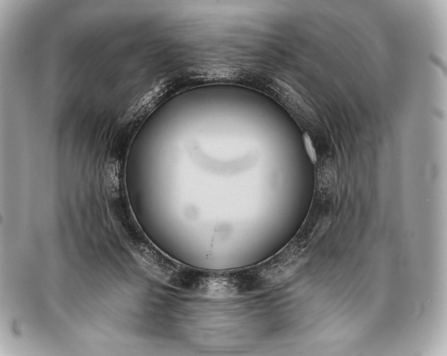 X0000096460264200802071840