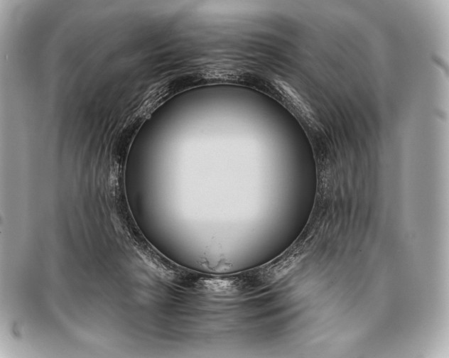 X0000096460265200802071840