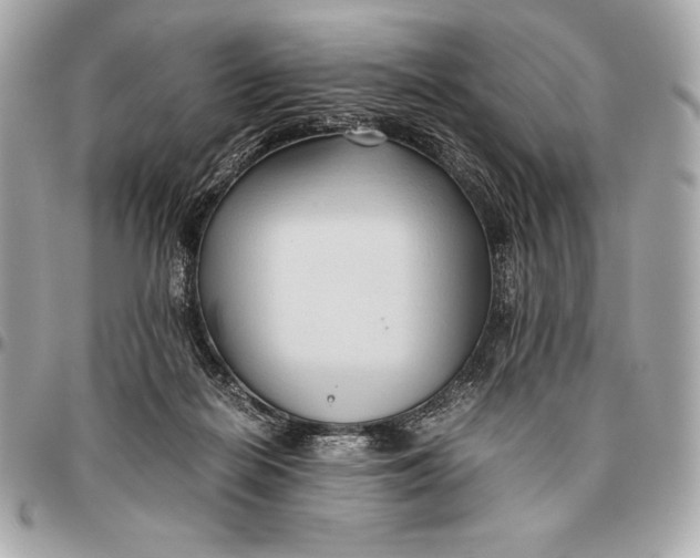 X0000096460266200802071840