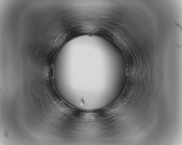 X0000096460268200802071840