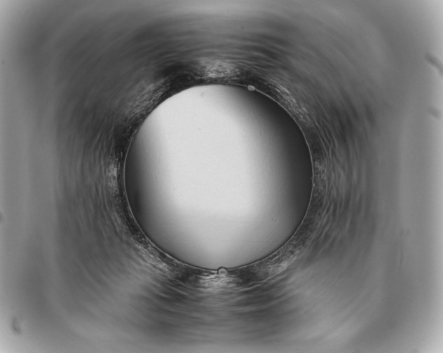X0000096460269200802071840