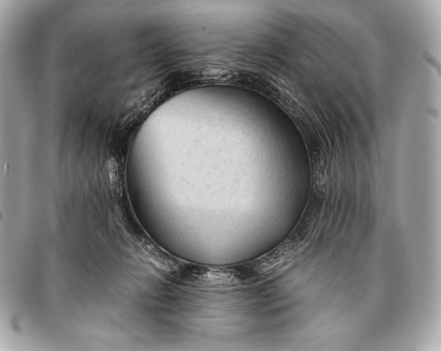 X0000096460270200802071840