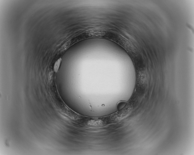 X0000096460271200802071840