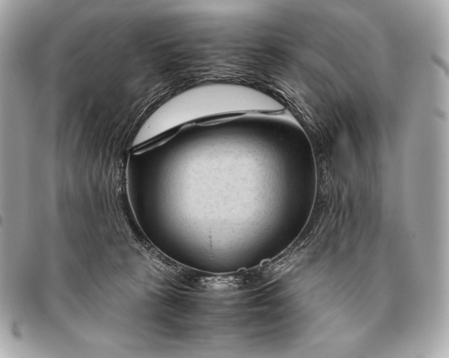 X0000096460273200802071840