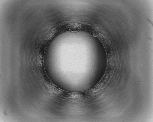 X0000096460274200802071840