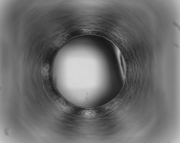 X0000096460275200802071840