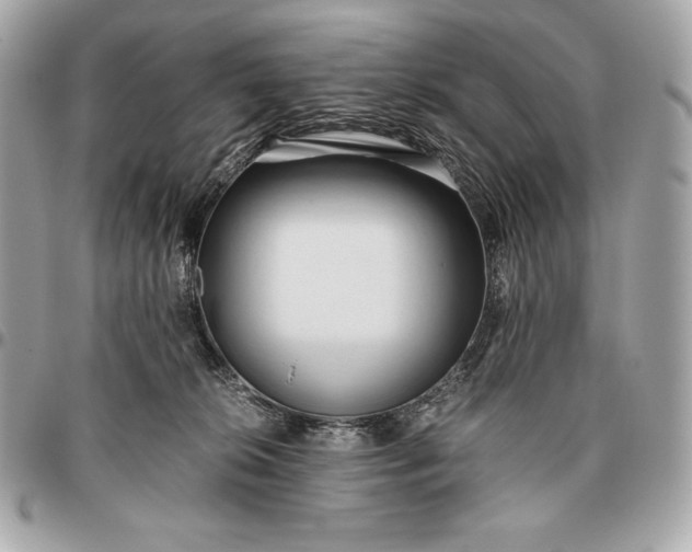 X0000096460276200802071840
