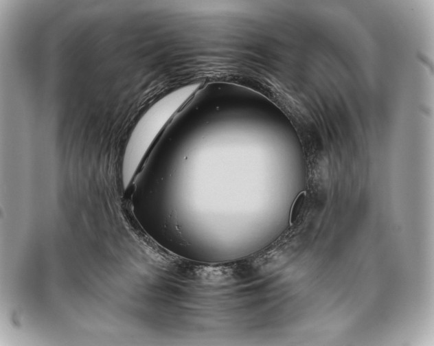 X0000096460277200802071840