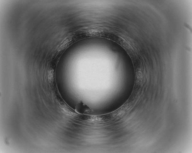 X0000096460278200802071841