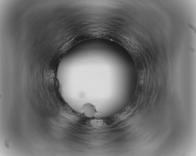 X0000096460279200802071841