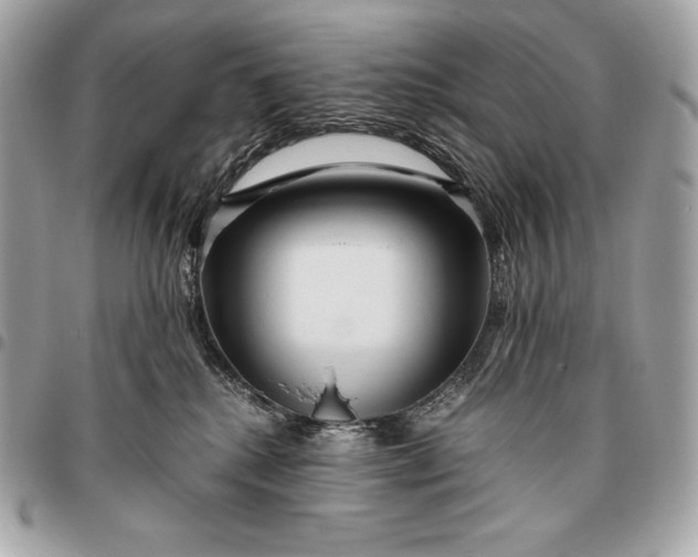 X0000096460280200802071841