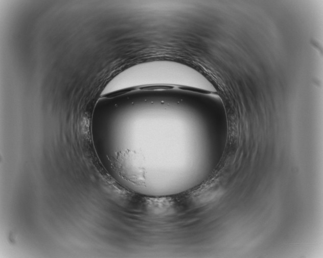 X0000096460281200802071841
