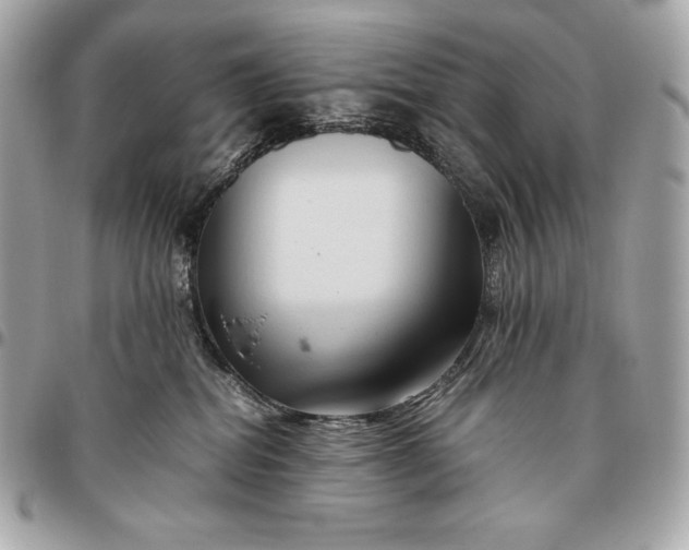 X0000096460282200802071841