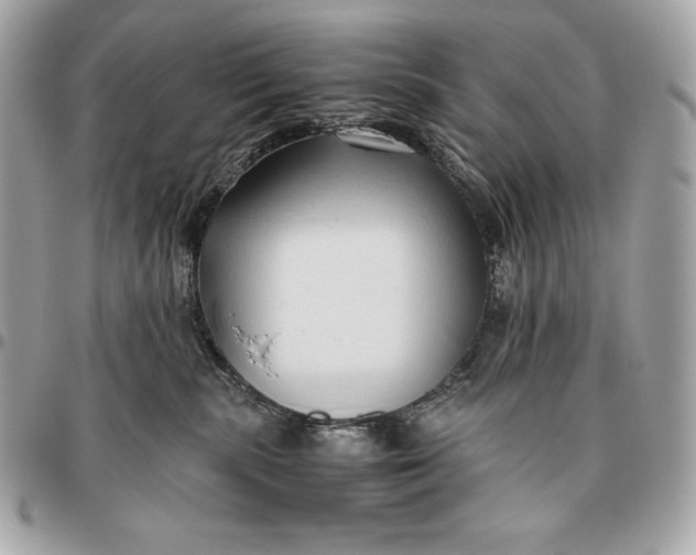 X0000096460283200802071841