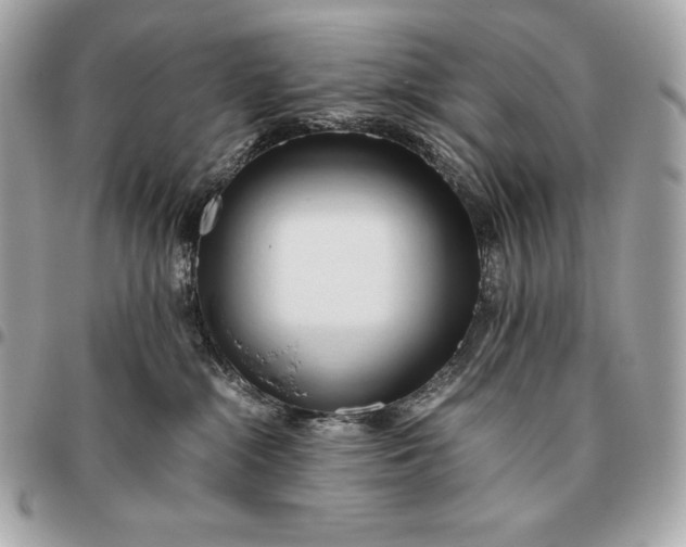X0000096460284200802071841