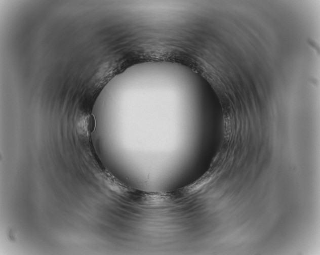 X0000096460286200802071841