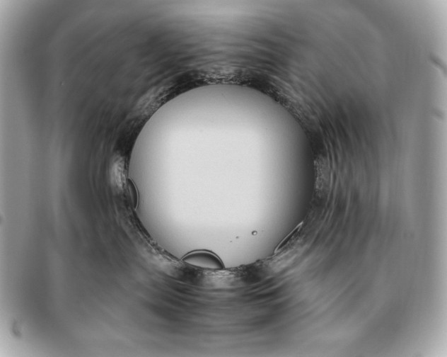 X0000096460287200802071841