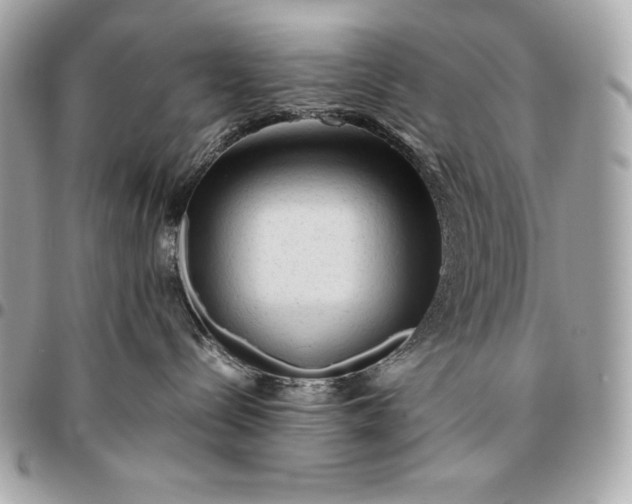 X0000096460288200802071841