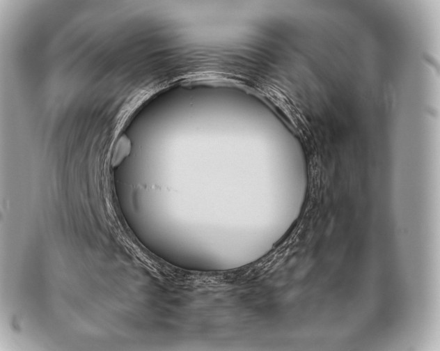 X0000096460289200802071840