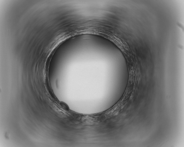 X0000096460290200802071840