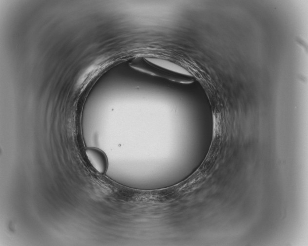 X0000096460291200802071840
