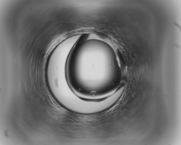 X0000096460293200802071840